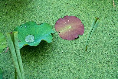 顽皮狗创始人：把工作室卖给索尼很正确 继续弄新作无压力